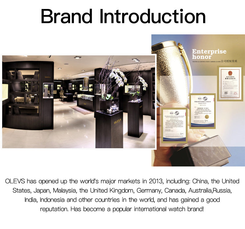 OLEVS 6898 Men Watches Stainless Steel Man Watch with Date, Bussiness Watches for Men,Luminous Quartz Mens Watches