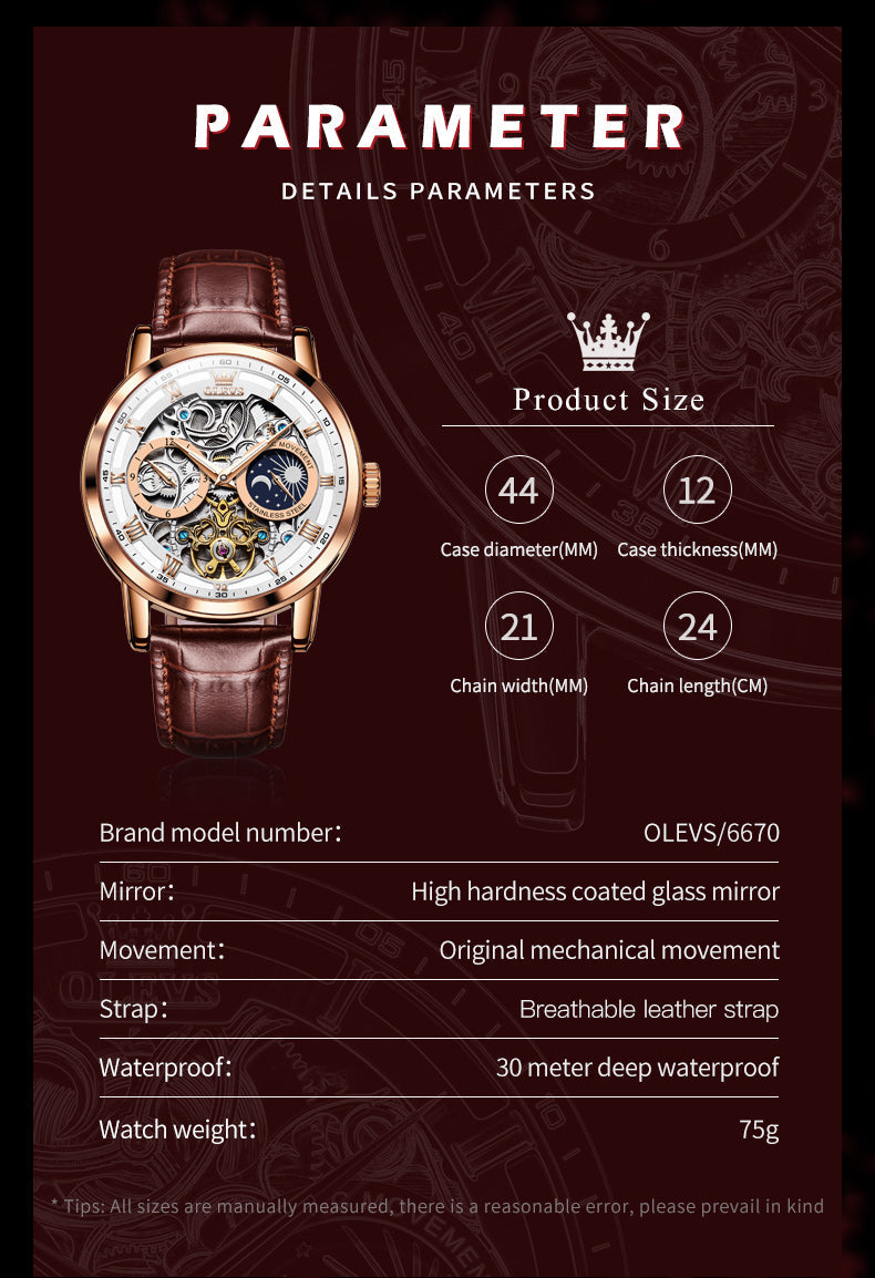 OLEVS 6670 Skeleton Watches for Mens Automatic Mechanical Self Winding Tourbillon Luxury Dress Wrist Watches Waterproof Luminous
